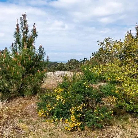 Groot Marquette - Noord Holland Aan Uw Voeten Σαλέ