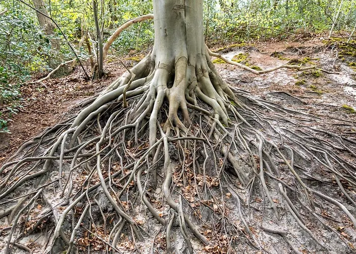 Groot Marquette - Noord Holland Aan Uw Voeten Шале *
