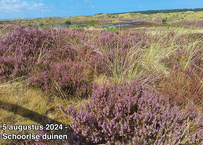 Groot Marquette - Noord Holland Aan Uw Voeten