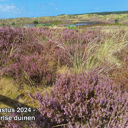 Groot Marquette - Noord Holland Aan Uw Voeten